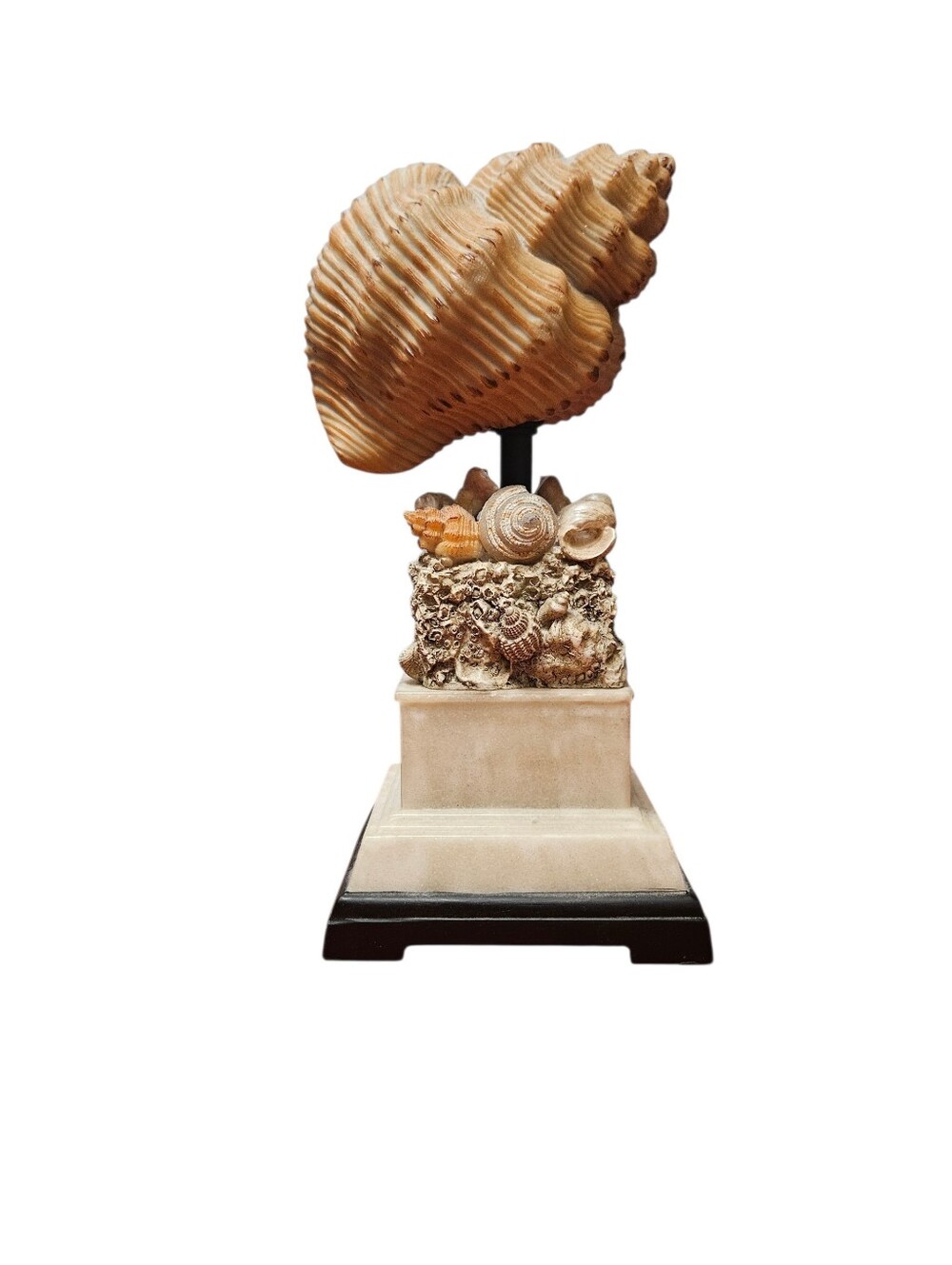 Coastal Inspired Seashell Decorative Sculpture On Tiered Marble Base! - Picture 1 of 4